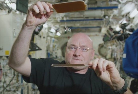 NASA ping pong 2016