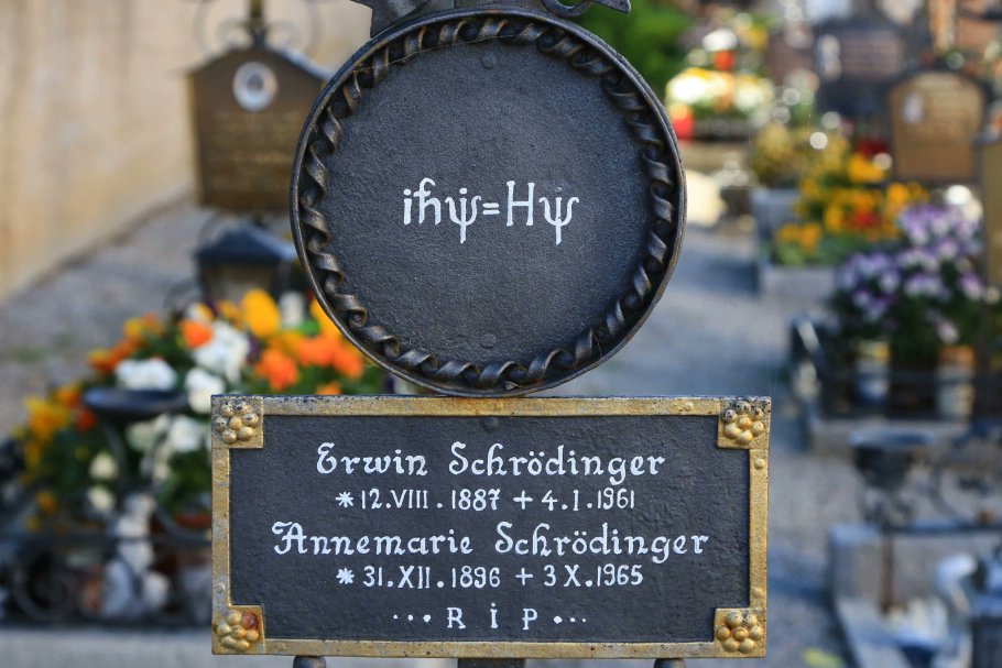 Schrodinger Vienne